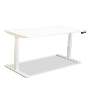 Dual Motor Sit Stand