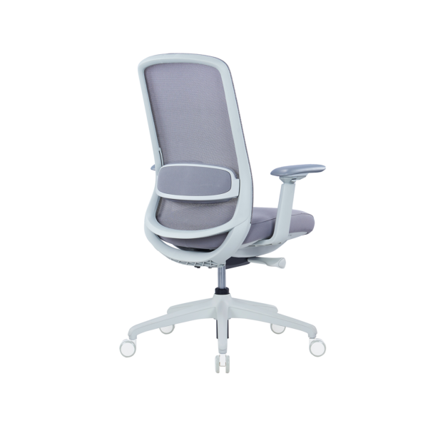 Leeton Chair - Image 4